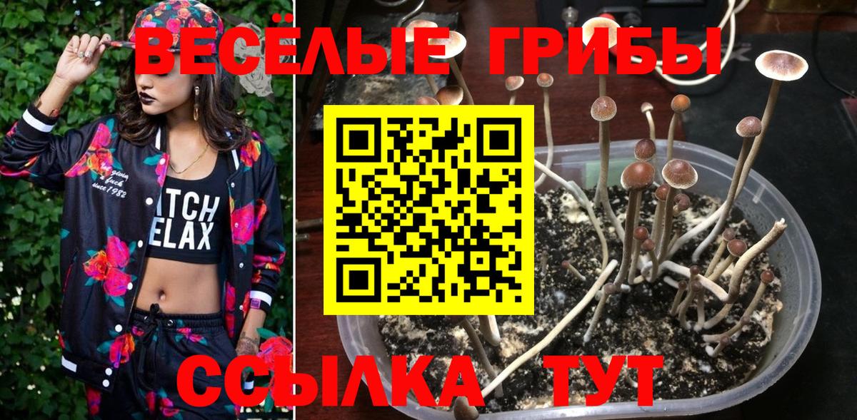 Галлюциногенные грибы GOLDEN TEACHER Дедовск